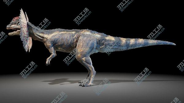 images/goods_img/20210312/3D Dilophosaurus model/4.jpg